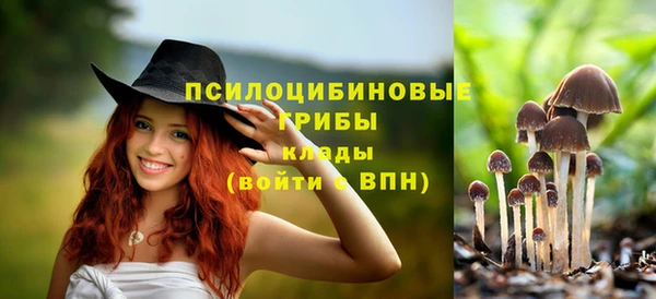 первитин Болхов