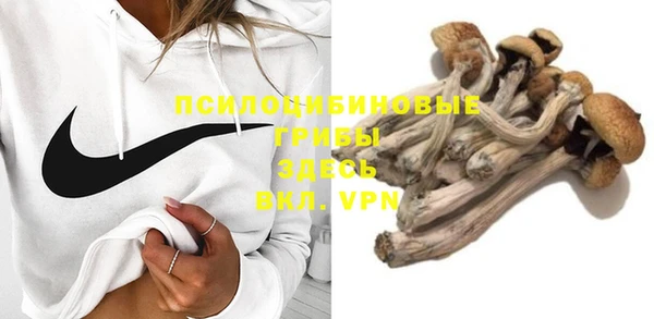 молекула духа Аркадак