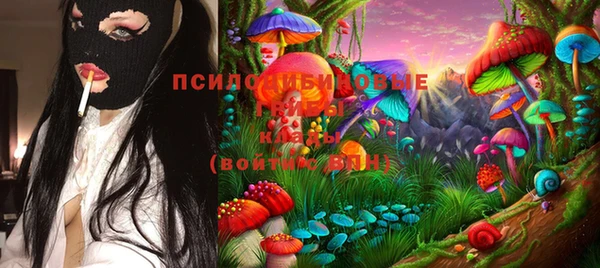 гашик Армянск