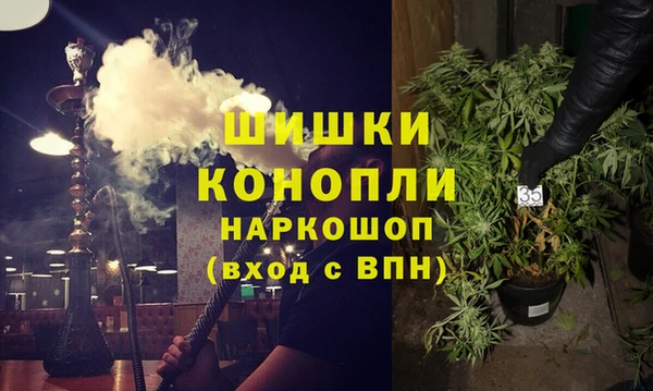 PSILOCYBIN Балабаново