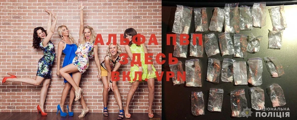 PSILOCYBIN Балабаново