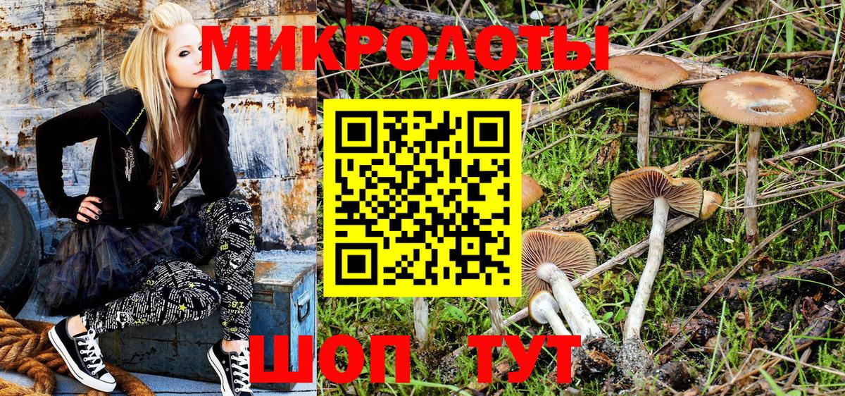Георгиевск  Псилоцибиновые грибы Psilocybine cubensis  Вход с VPN 