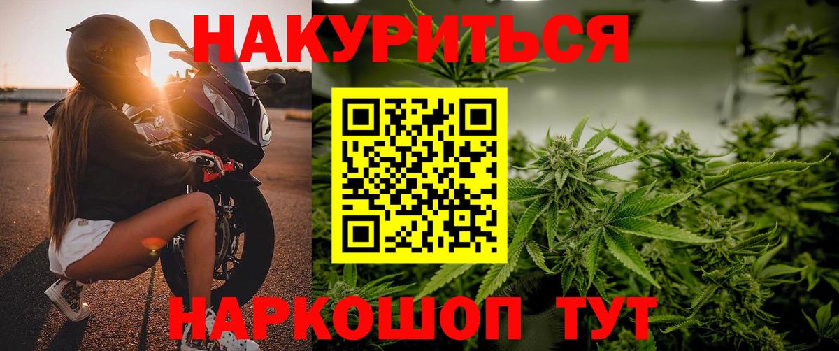 Георгиевск  Конопля THC 21%  Бошки марихуана план  Конопля White Widow  Вход с VPN 